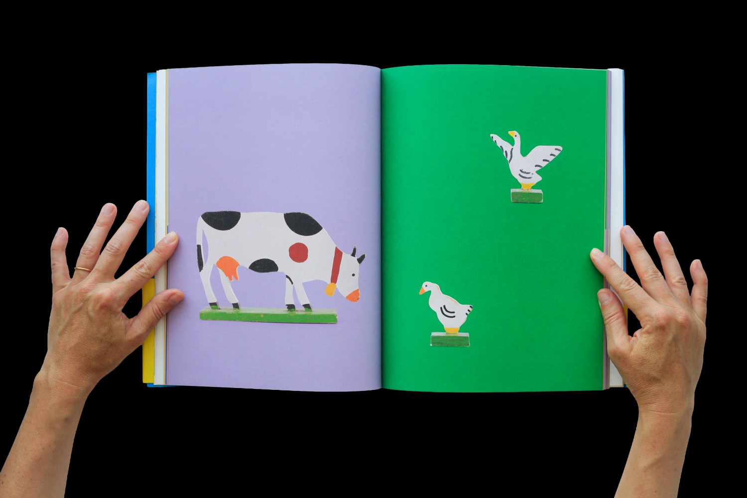 alpinchezlui_n_cp_12-5b49f65fd184b1d7f7aab32cced4b535