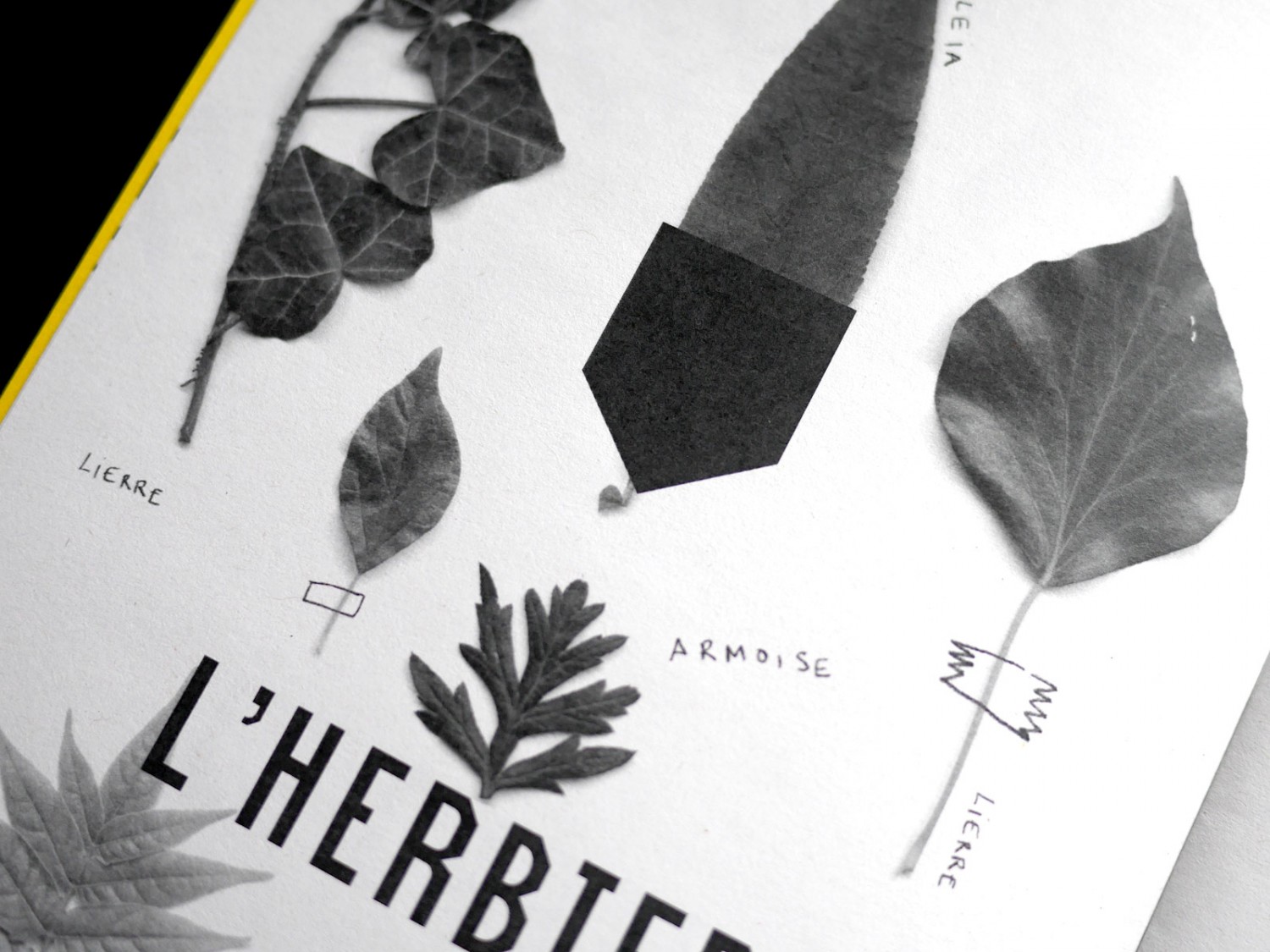 aquai-carnet_2_1600-c2b64b2fec2662071ce56f63e3080fcd