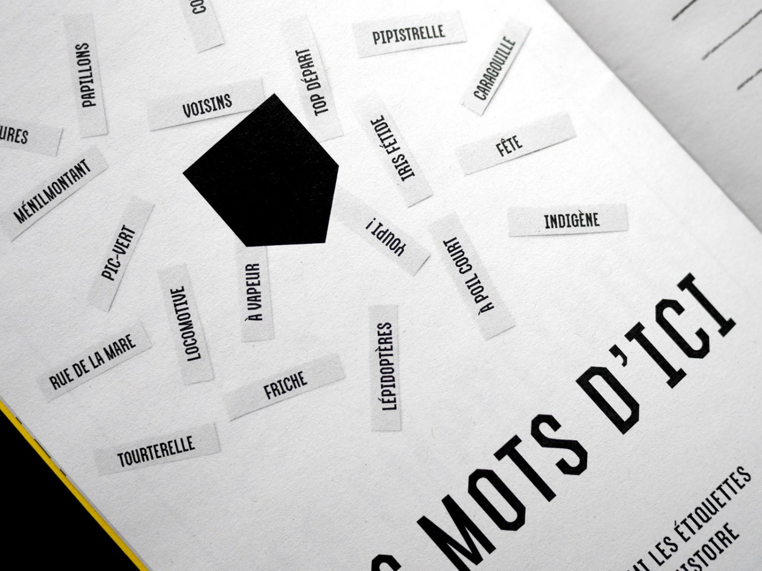 aquai-carnet_3_1600-9027ef6e08c4dda316bdf432f032b79b