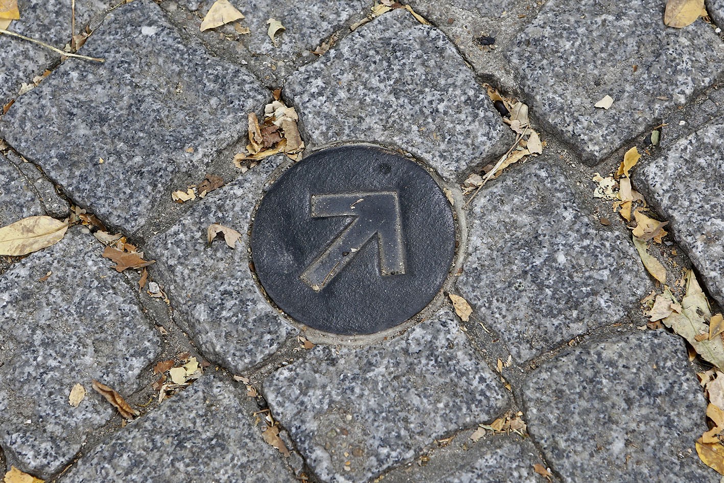 bjrcascade-clemencepassot15-29f9a6eb6b4907c36c4758824bd07352