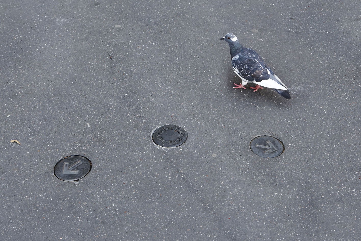 bjrcascade-clemencepassot6-dfea36de98269c4a4bb6dd2f9dba923b