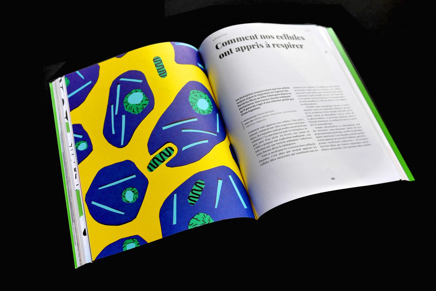 carnetsdesciences_2-477a258e5bf8c880b7573ebee46c3fd4