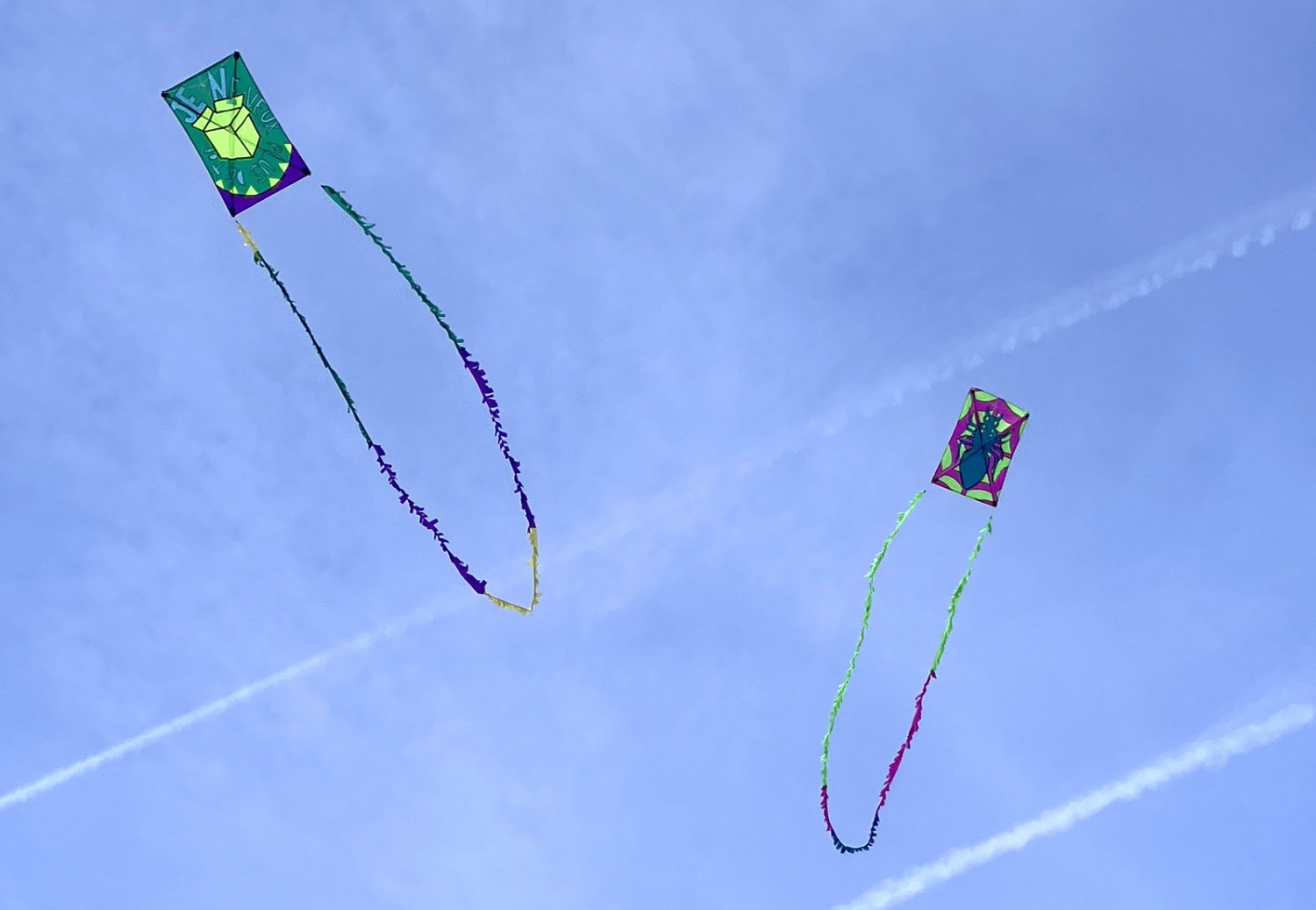 fairevolerlespeurs_2-f1053e9a587e6dc7fa39a55f02d87a7a