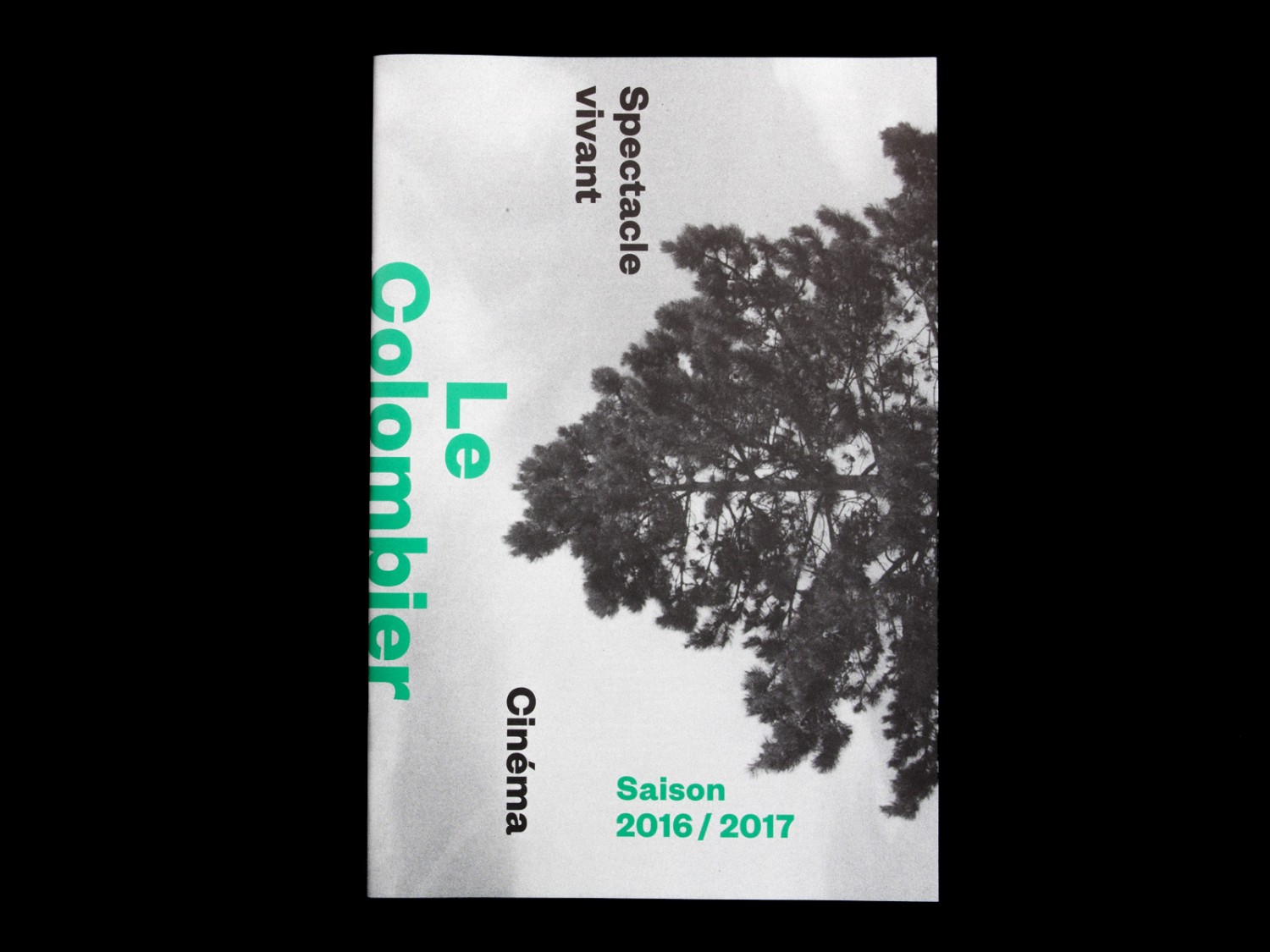 img_0006_1600-1c12481236254d33a855669502044e78