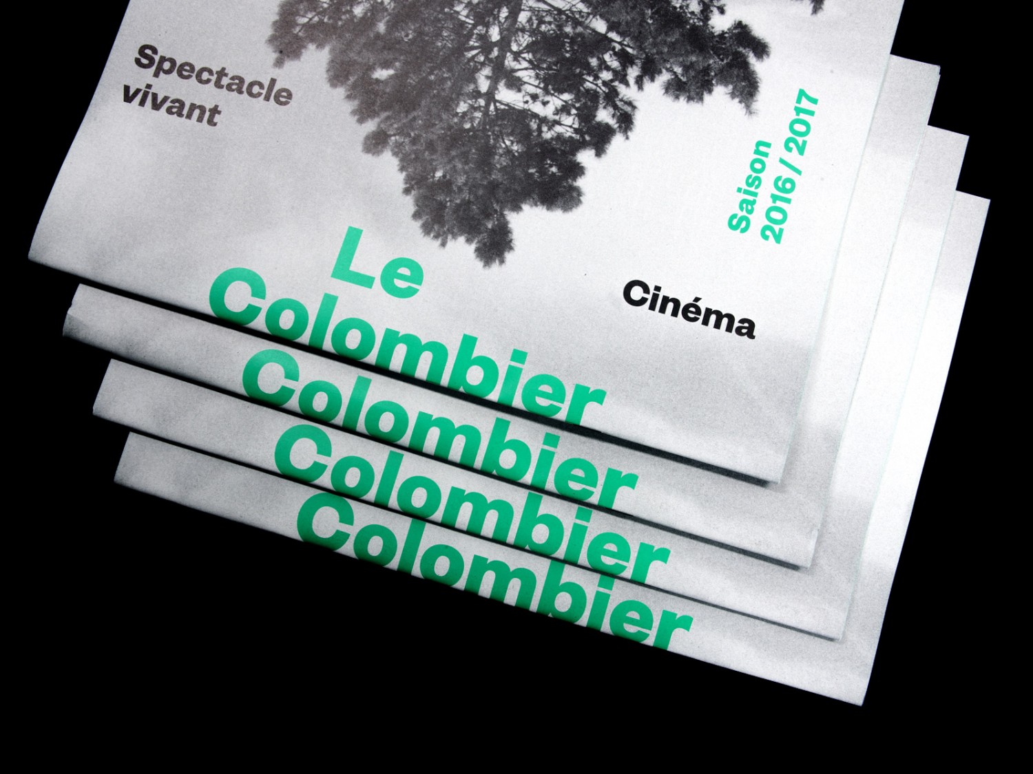 img_0033_1600-db6c64744d1390c4f384f1911b52f733