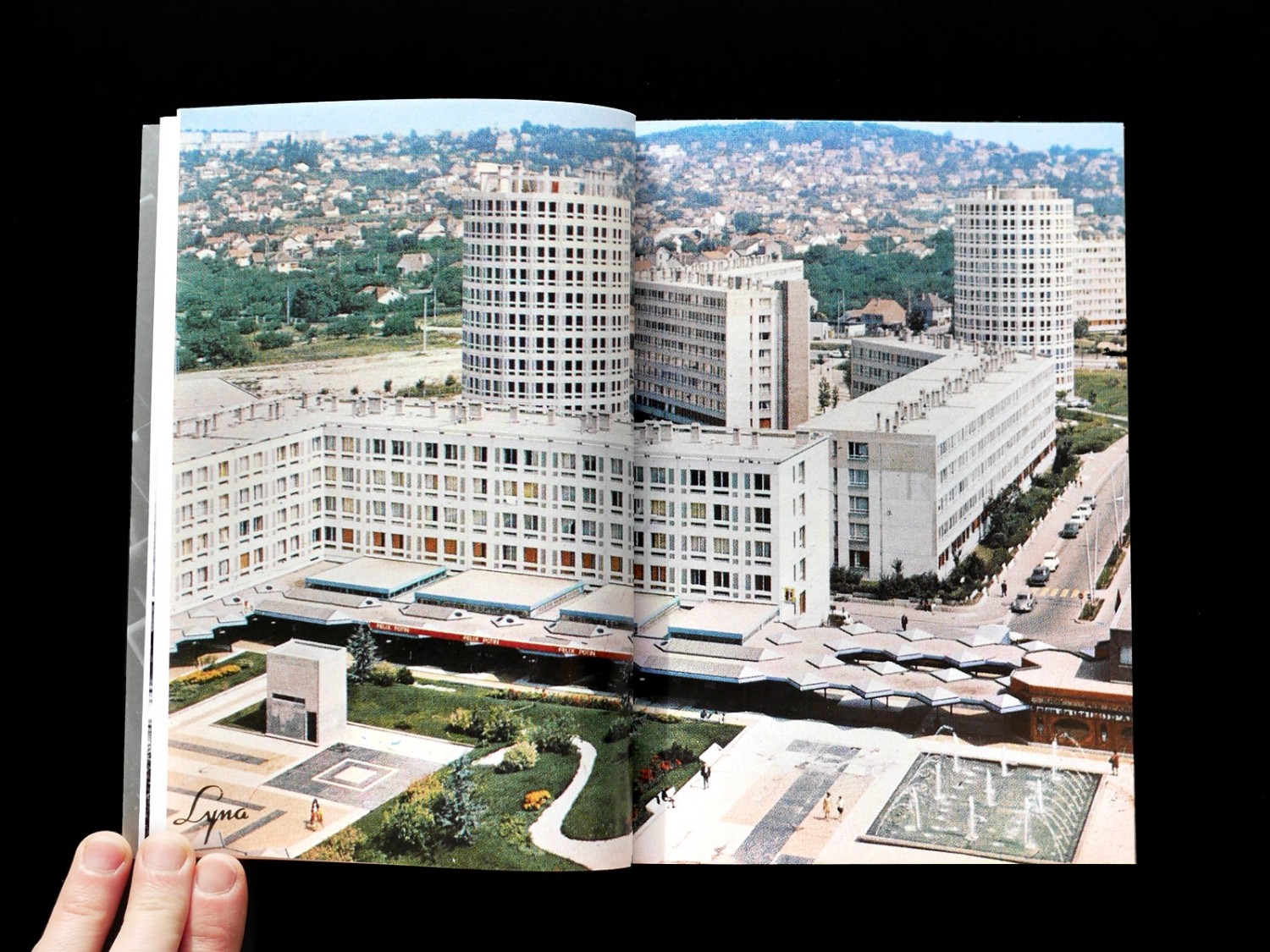 p1110156_1600-96ef8d68f0f5704d2558d618ec75b274