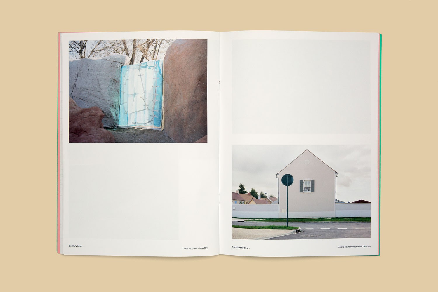 photaumnales-4-6baaa7b6191ab488fa9d4d259f4c8499