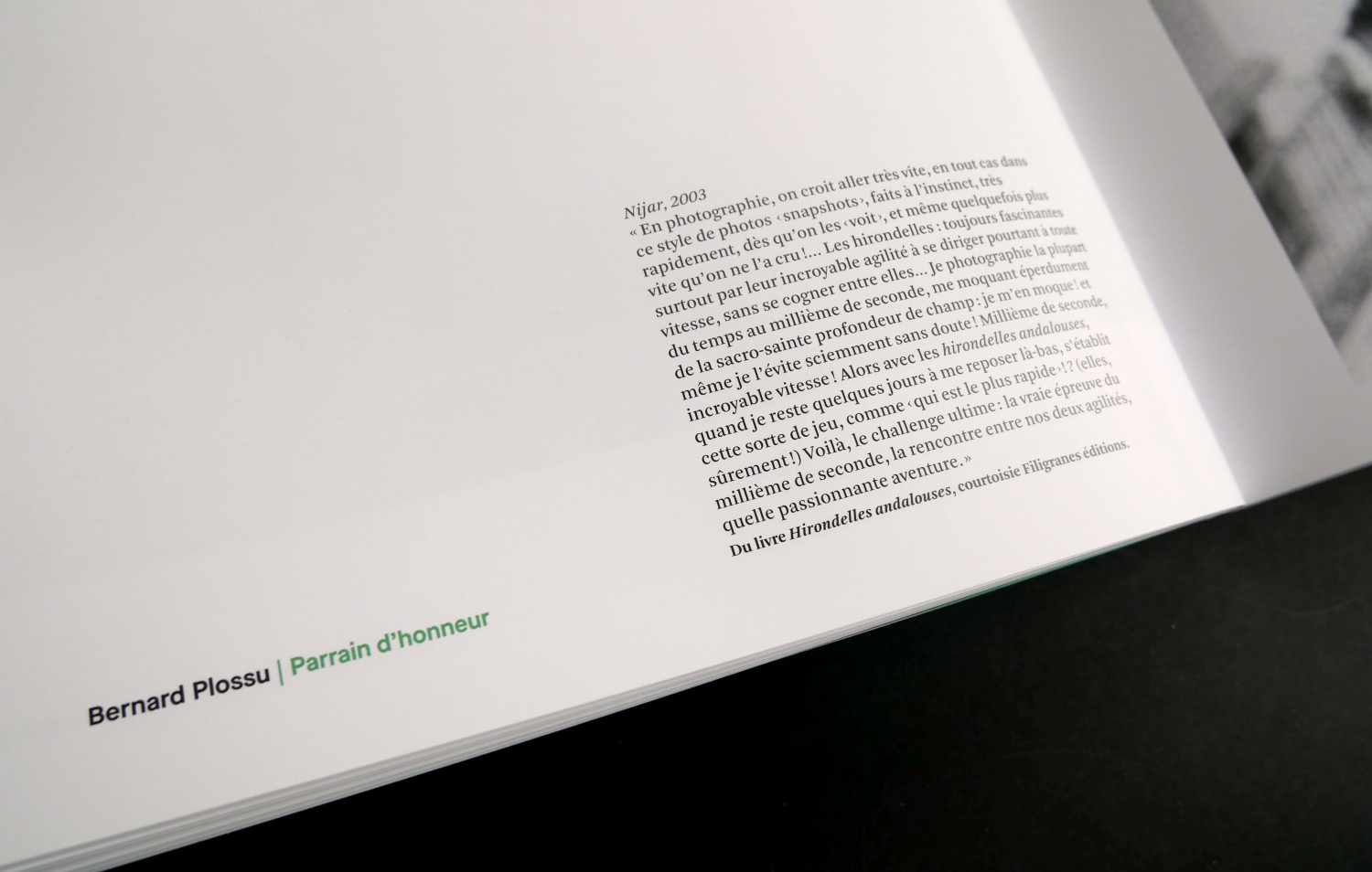 pierrevert-7detail1-6efb6bdb7452bb12a4c74c746930b085