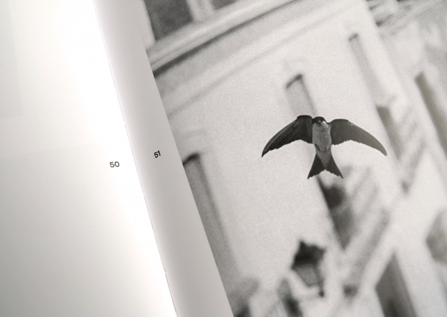 pierrevert-7detail2-6b4e65db0ebbb8bd2a9492e07e836d46