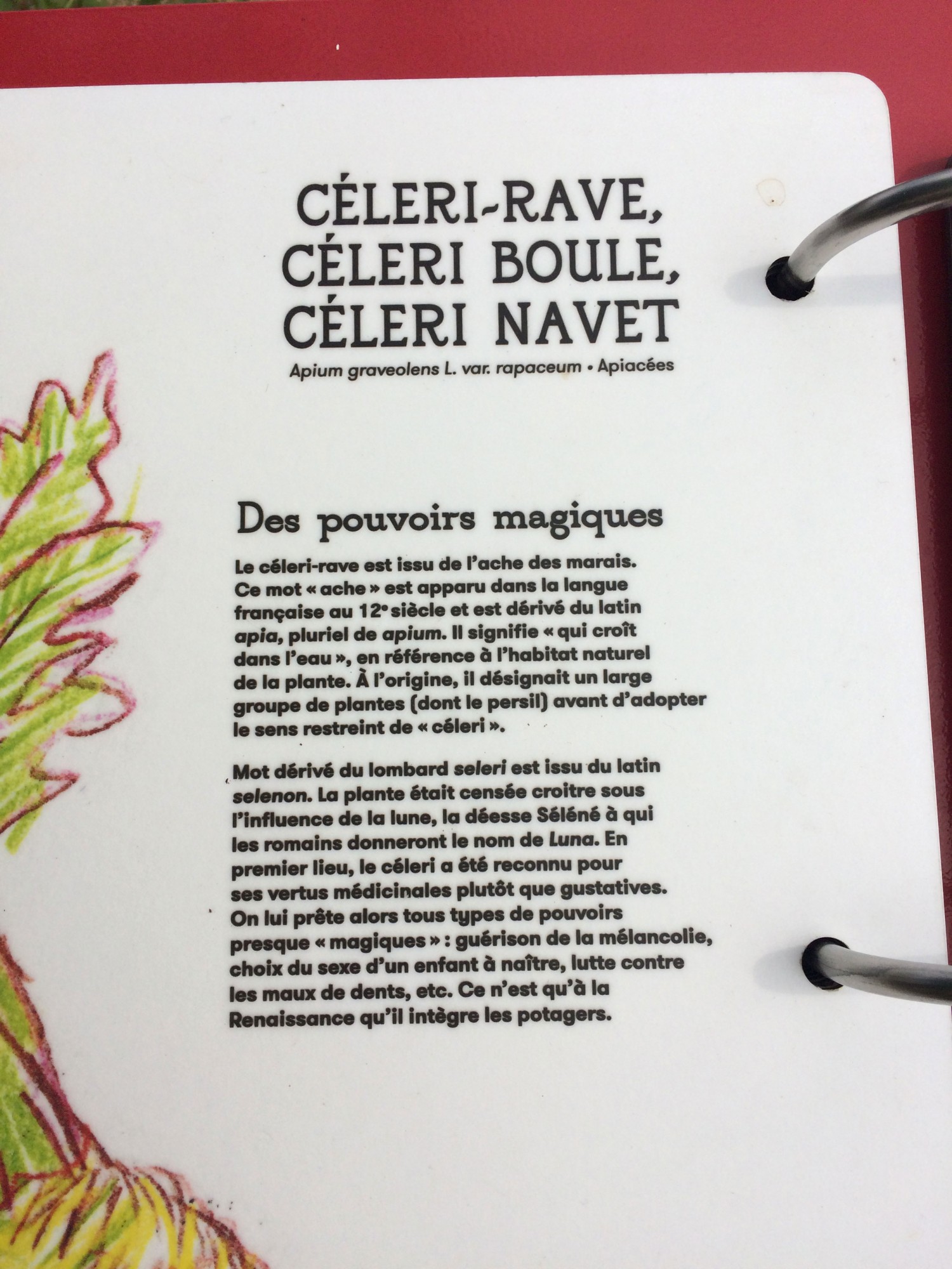 unpetittour_4detail2-efaa4a20b78c23b98fdf7ad75f26824c