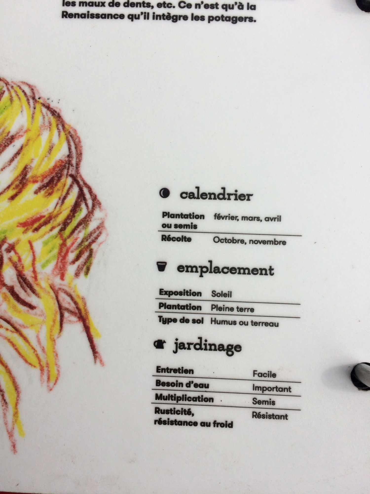 unpetittour_4detailb-9609a83ed0233c25a947d22db344babc