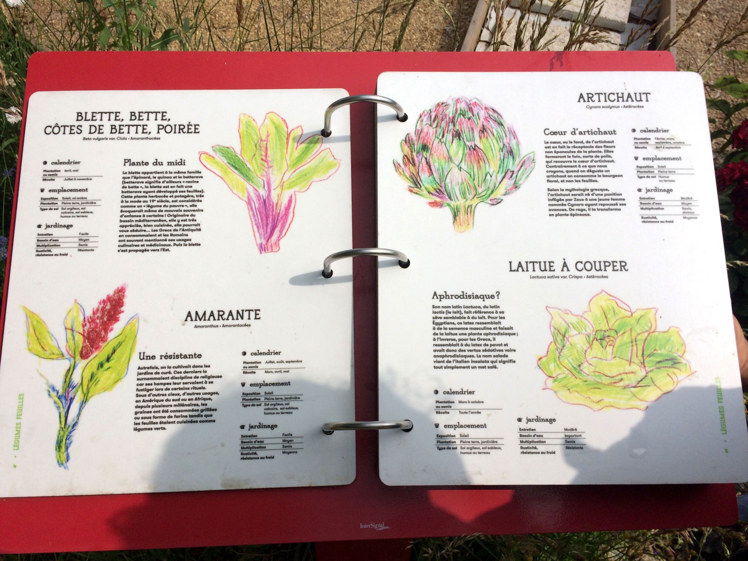 unpetittour_5-689ffe0c76efe68a12f29423b7031bf7