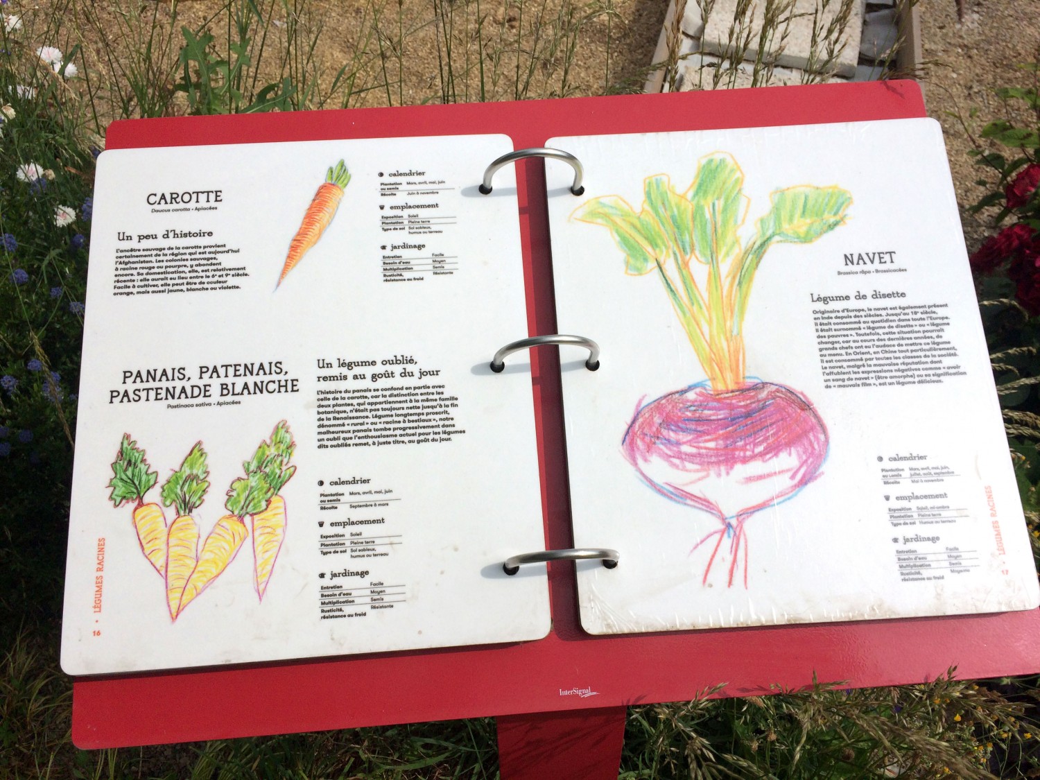 unpetittour_6-3d332acf2a0d248d1892b1f3d18099a6