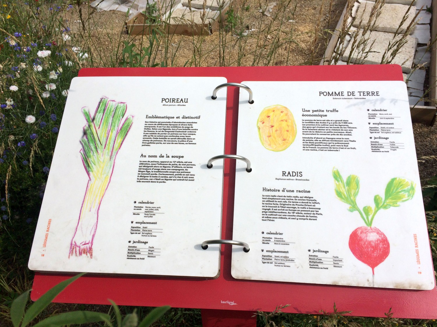 unpetittour_7-ec24b03c07cdeb2a2be6d9a24769634d