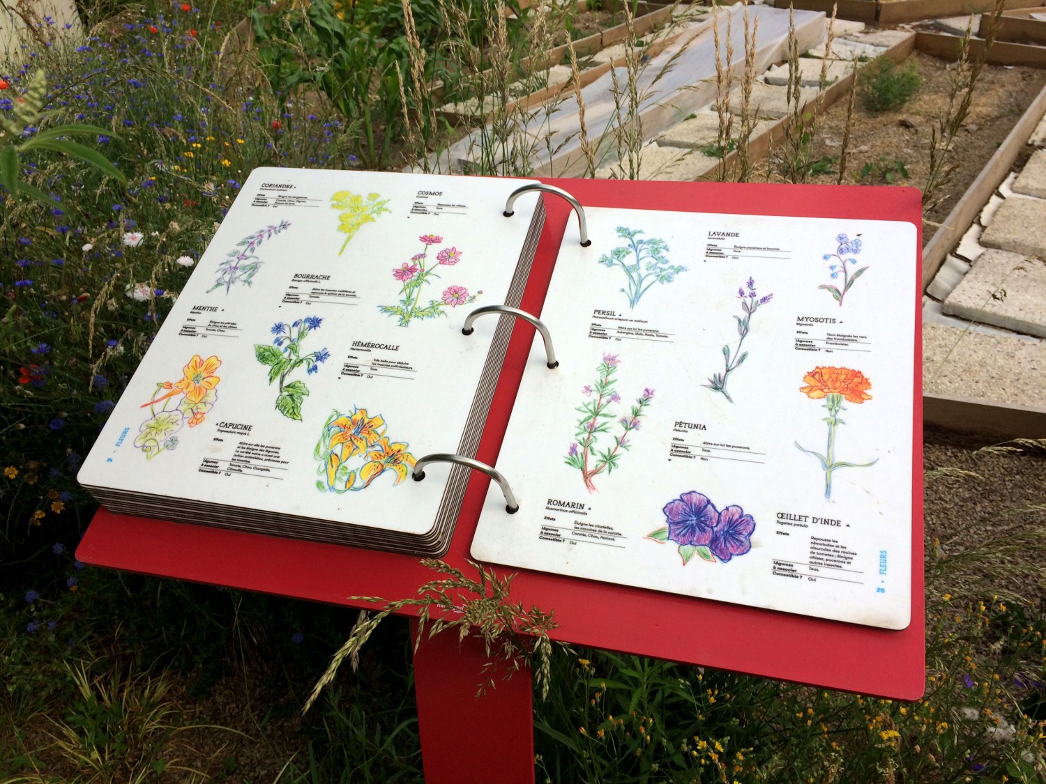 unpetittour_8-d571b03ae3151b2b6267d871e134e0a7